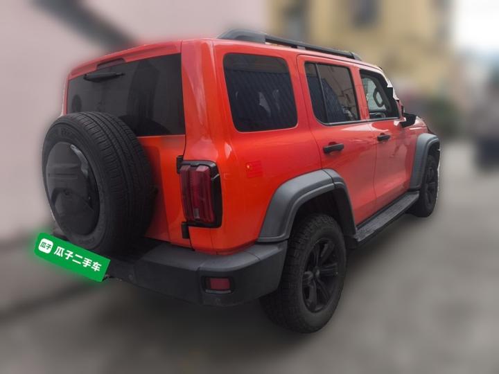 300 2021 Off-road 2.0T Conqueror photo 6