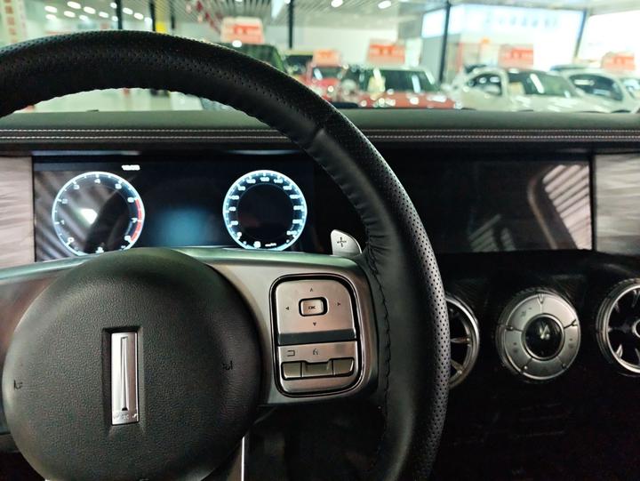 300 2021 Off-road 2.0T photo 4