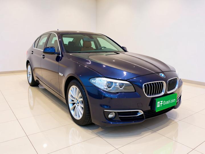 5 Series 2014 525Li Luxury Design Package photo 3