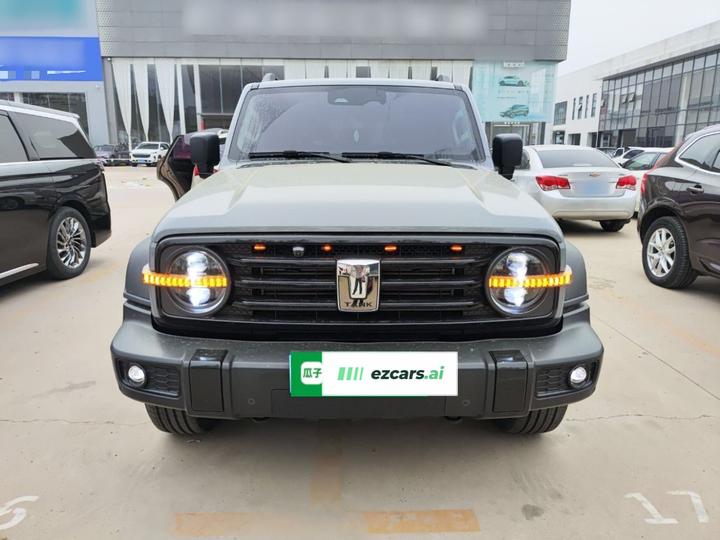 300 2021 Off-road 2.0T Conqueror photo 2
