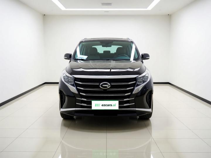 GAC Trumpchi M8 2024 Leading Series 390T Luxury photo 2