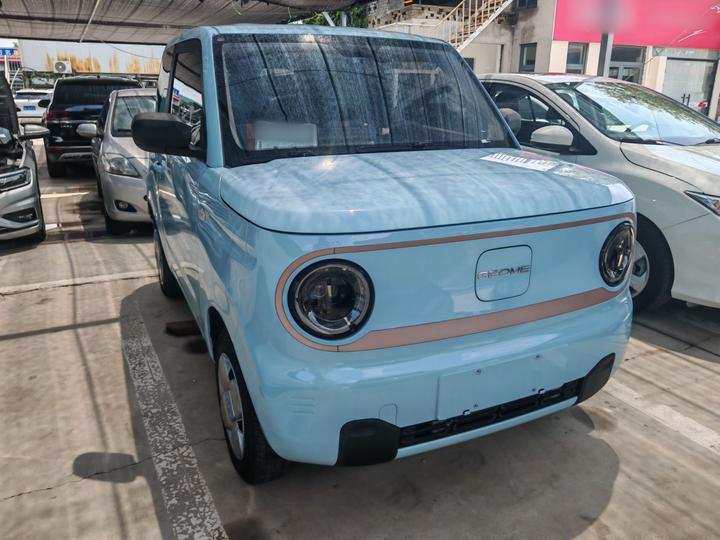 2023 Panda mini 200km Endurance Bear photo 2
