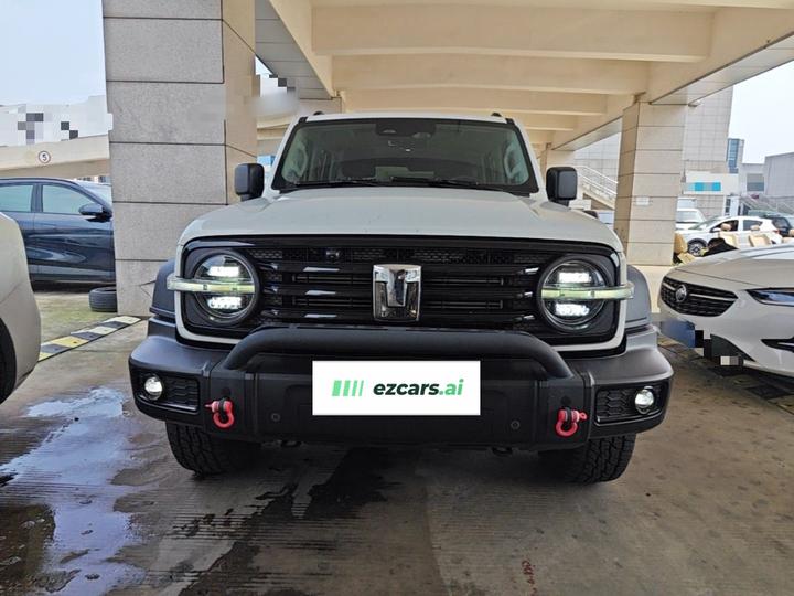 300 2023 Off-road 2.0T photo 2