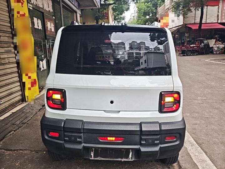 2024 200km Panda photo 5
