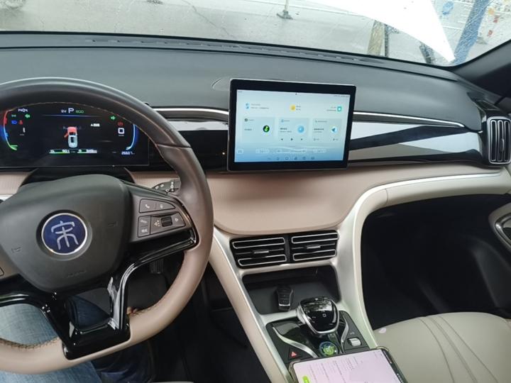 Song Pro EV 2024 Honor DM-i 71KM Pilot photo 2