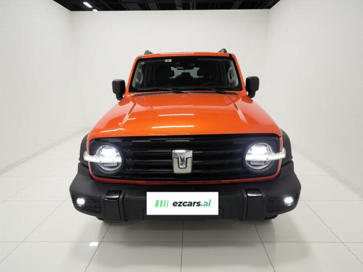 300 2023 Off-road 2.0T Conqueror photo 2