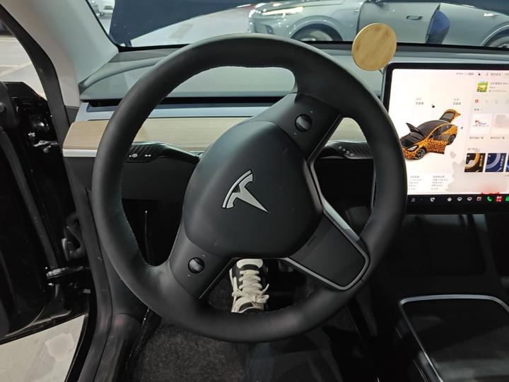 Model Y 2021 Standard Range RWD photo 6