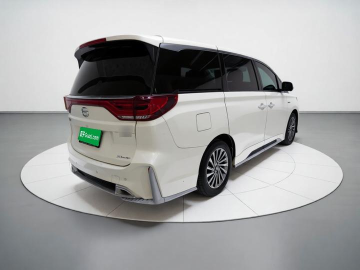 GAC Trumpchi M8 2021 Master Series 390T Flagship photo 6