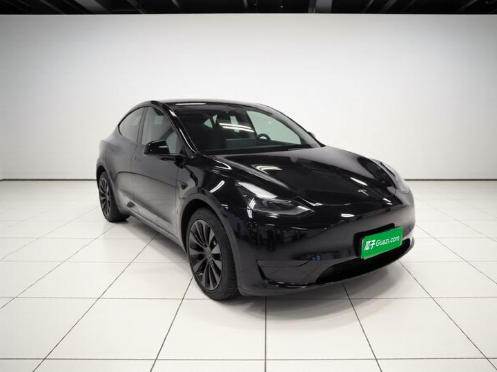 Model Y 2021 Long Range AWD photo 3