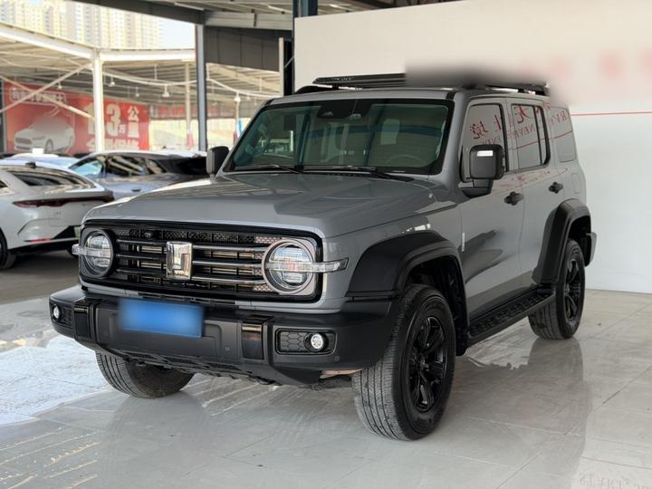 300 2021 Off-road 2.0T Explorer