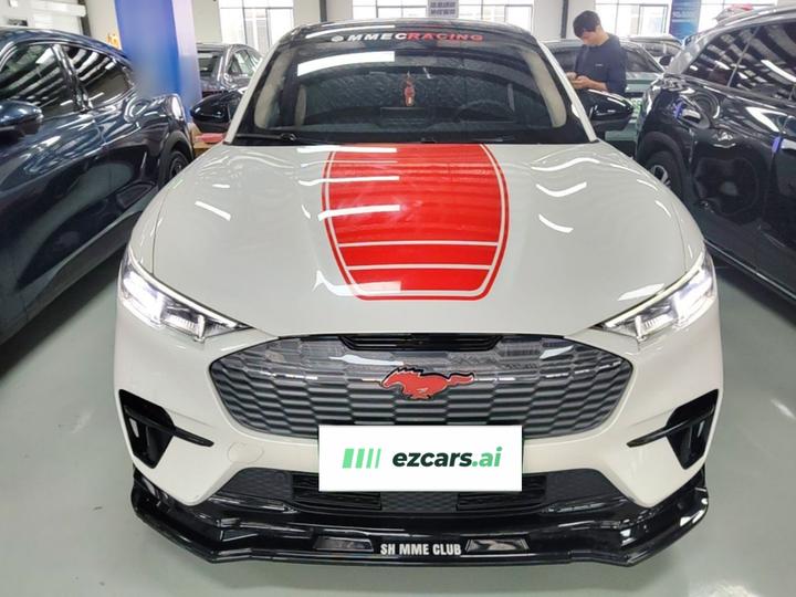 2021 RWD Luxury Long Range photo 2