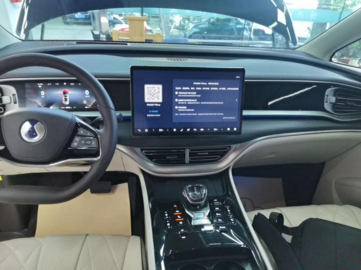D9 2024 DM-i 980 AWD Noble photo 8