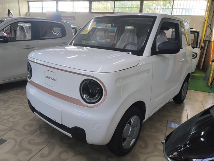 2024 Panda mini 200km Endurance Bear
