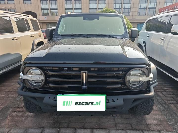 300 2021 Off-road 2.0T Conqueror photo 2