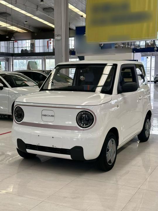 2024 Panda mini 200km Endurance Bear
