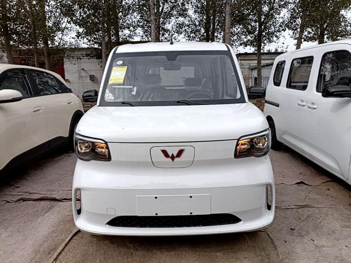 Wuling Zhiguang EV 2025 201km Standard photo 2