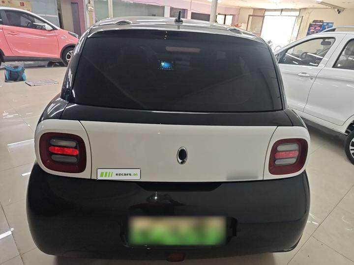 2021 351km Standard photo 3