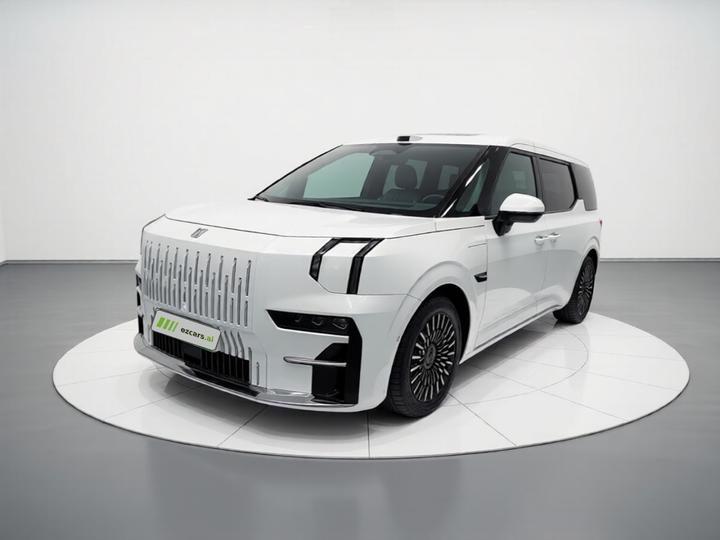 009 2024 6-Seater Executive AWD 108kWh