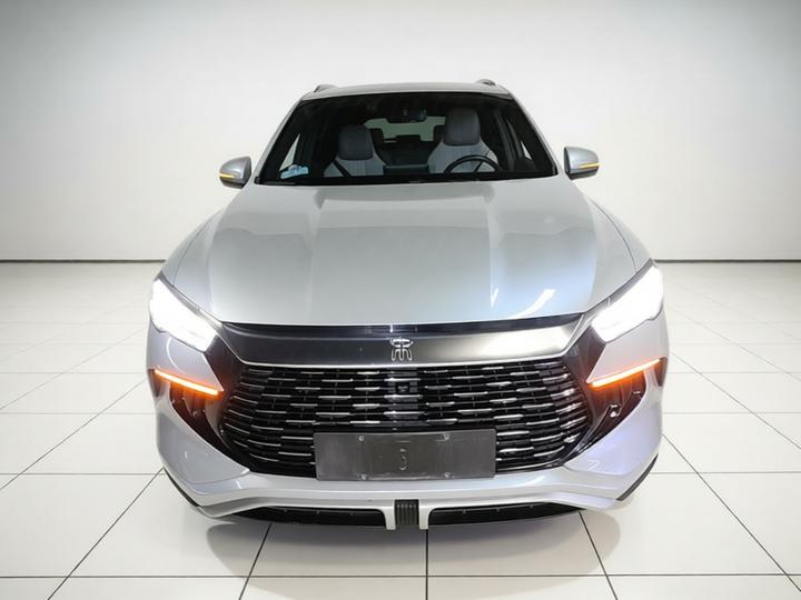 Song Pro EV 2024 Honor DM-i 71KM Pilot photo 2