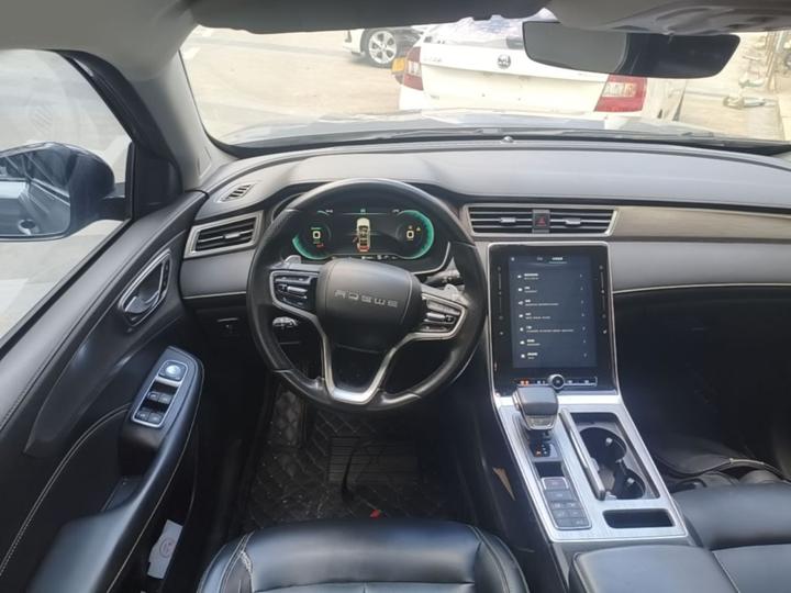 RX5 EV 2020 ePLUS Luxury photo 6