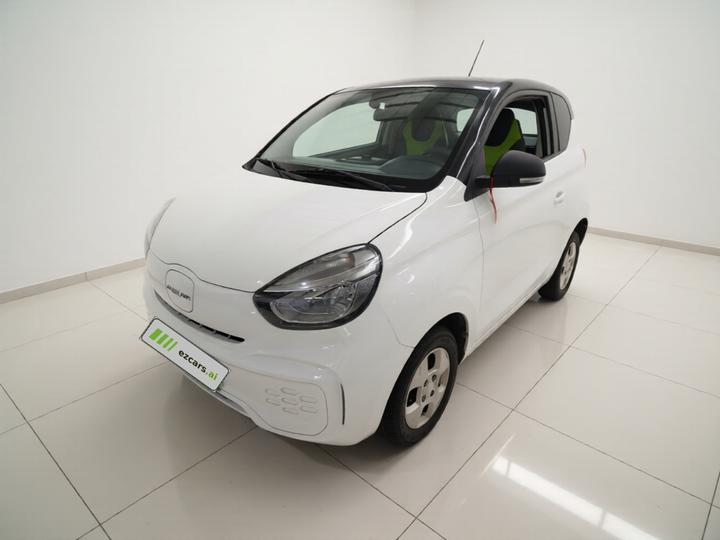 Clever R 2021 302km 4-Seater