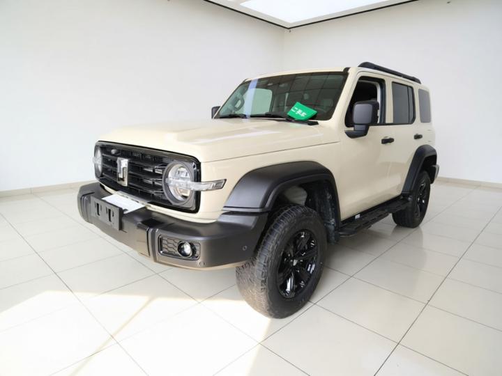 300 2025 2.0T Petrol Conqueror