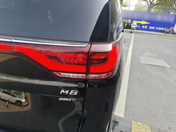 GAC Trumpchi M8 2023 Leading Series 390T Exclusive photo 7