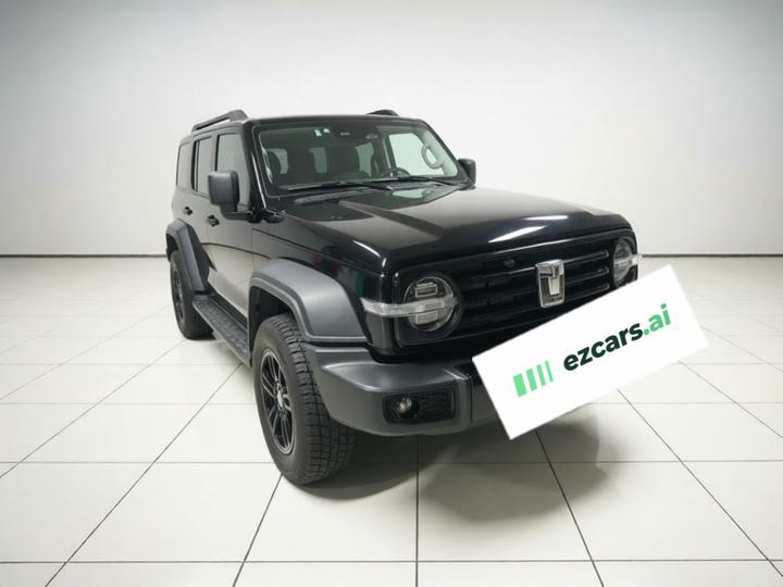 300 2021 Off-road 2.0T Conqueror photo 3