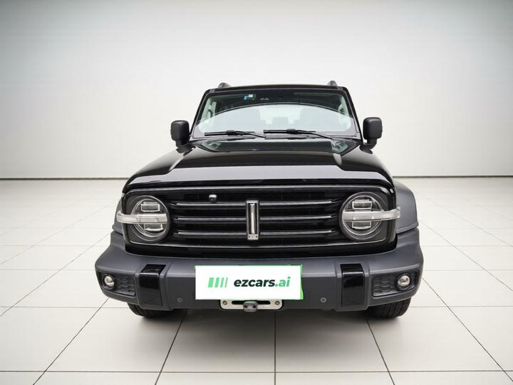 300 2021 Off-road 2.0T Conqueror photo 2