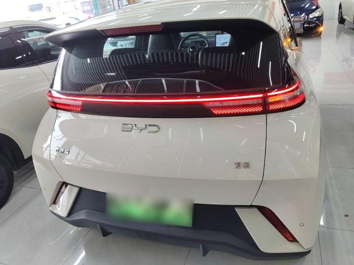 Seagull 2024 Honor 305km photo 5