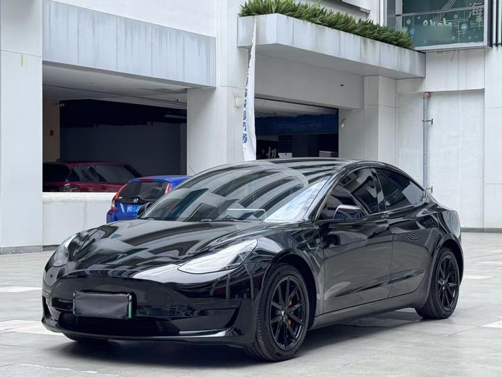 Model 3 2021 Standard Range RWD Upgraded 3D6