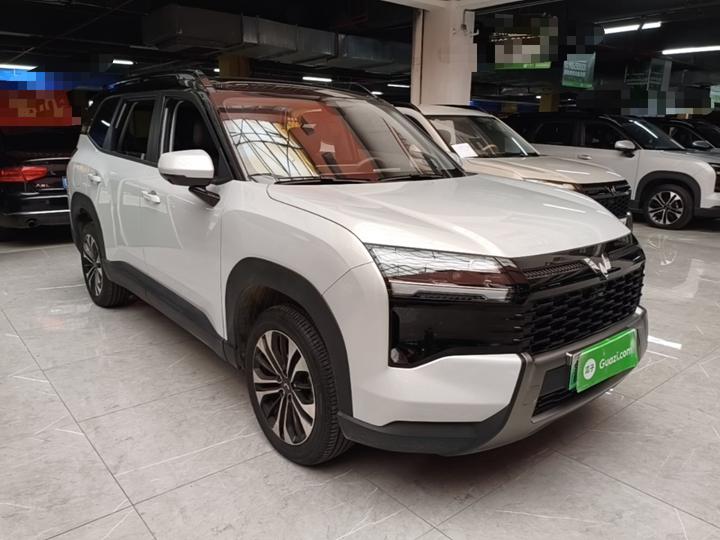 560 EV 2026 125km Luxury photo 3