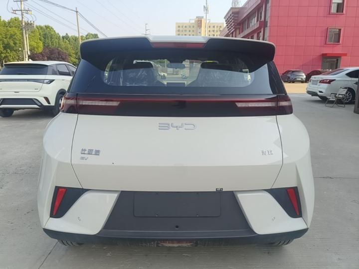 Seagull 2025 ADAS 305km photo 3