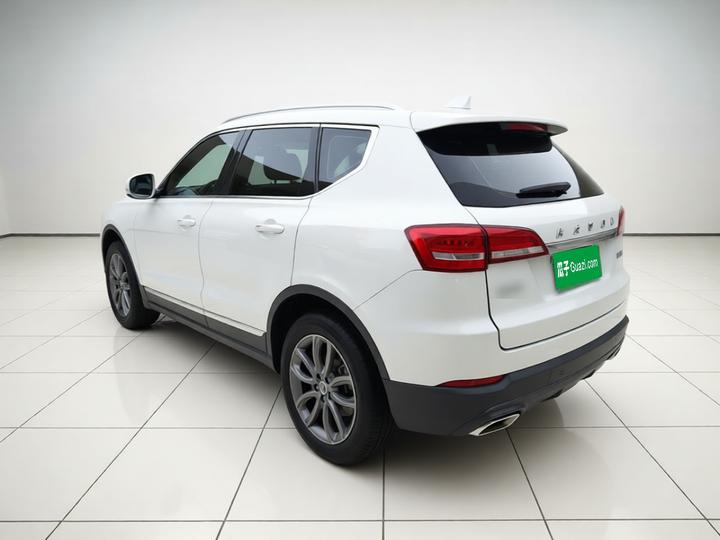 H7 2019 2.0T Smart China VI photo 4
