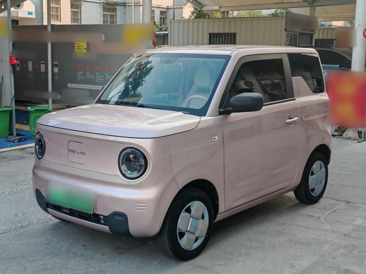 2023 Panda mini 200km Endurance Bear