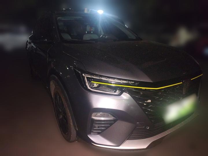RX5 EV 2020 ePLUS Flagship photo 3