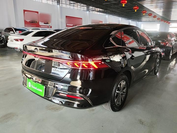 Qin PLUS 2024 Honor DM-i 55KM Leading photo 6