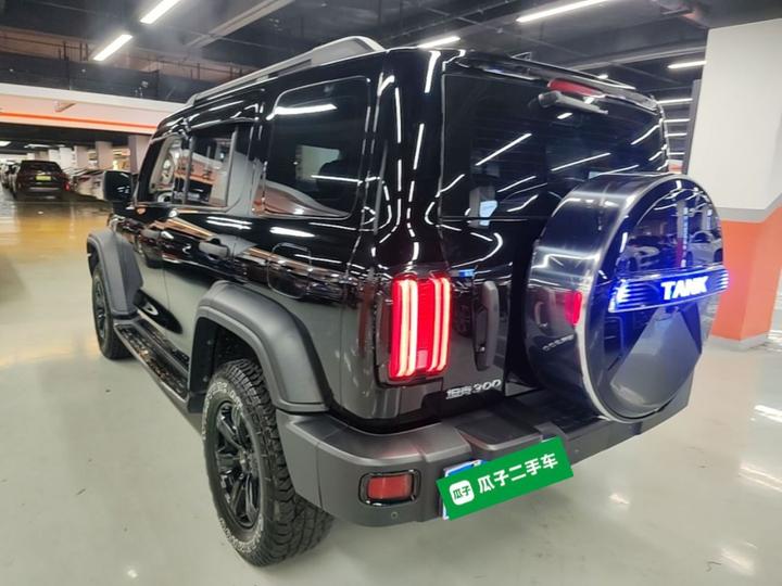 300 2021 Off-road 2.0T Conqueror photo 4