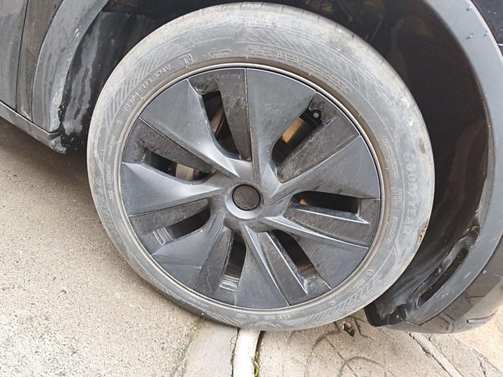 Model Y 2023 RWD photo 8