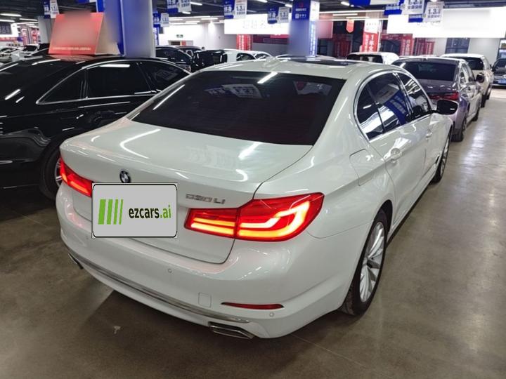 5 Series 2019 530Li Leading Luxury photo 4