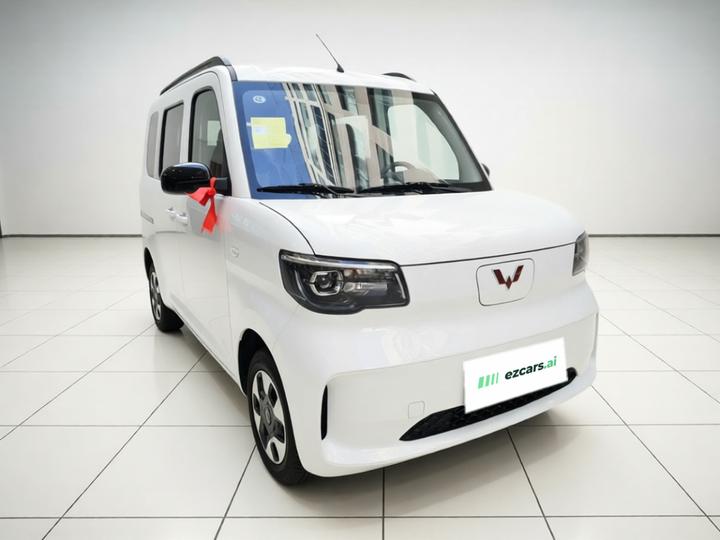 Wuling Zhiguang EV 2025 305km Progressive photo 3