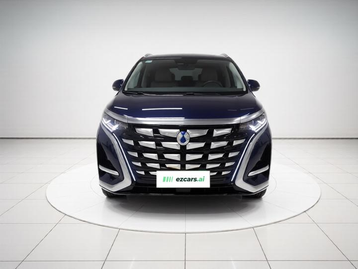 D9 2024 DM-i 980 AWD Noble photo 2