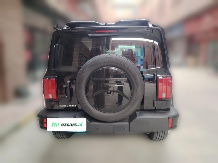 300 2025 2.0T Petrol Conqueror photo 5