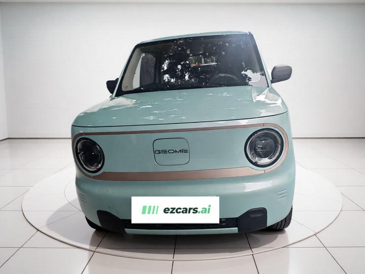 2023 Panda mini 200km Endurance Bear photo 2