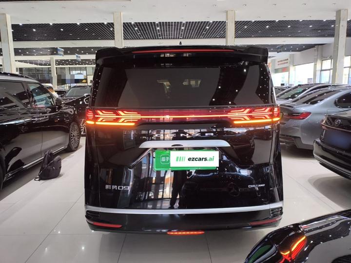 D9 2024 DM-i 980 AWD Premium photo 3