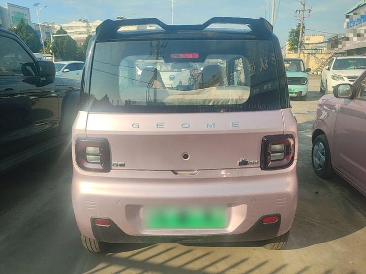 2024 Panda mini 200km Endurance Bear photo 5