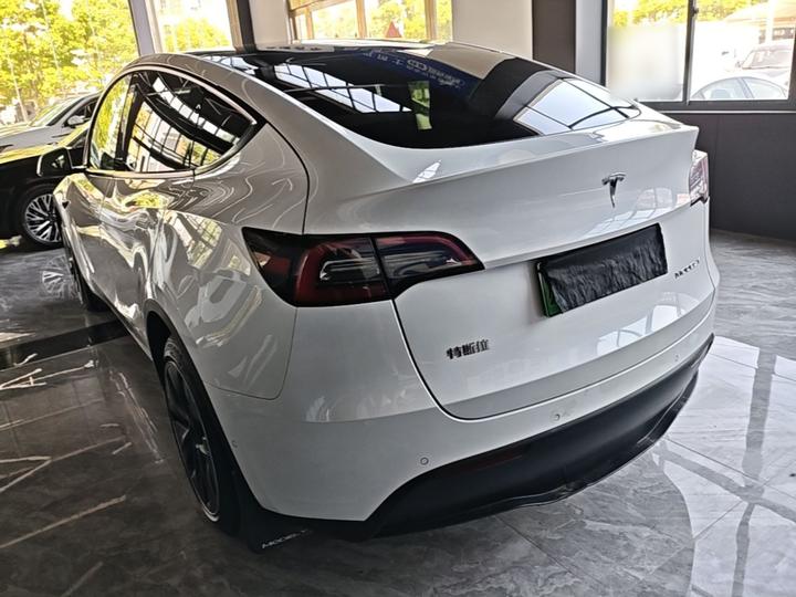 Model Y 2021 Long Range AWD 3D7 photo 4