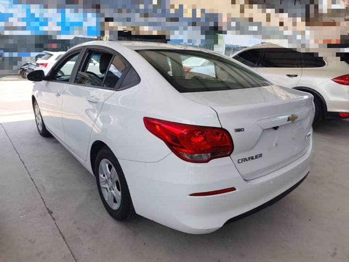 Cavalier 2019 320 AT photo 4
