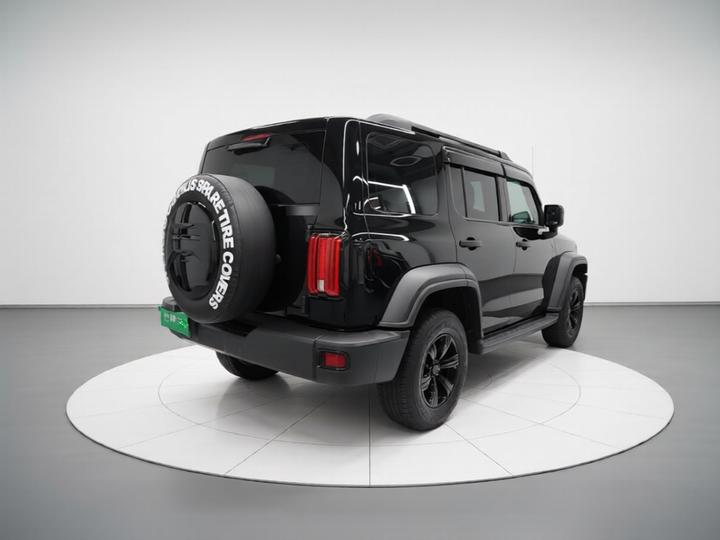 300 2023 Off-road 2.0T Conqueror photo 6
