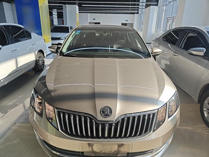 Octavia 2019 TSI230 DSG Luxury China V photo 2